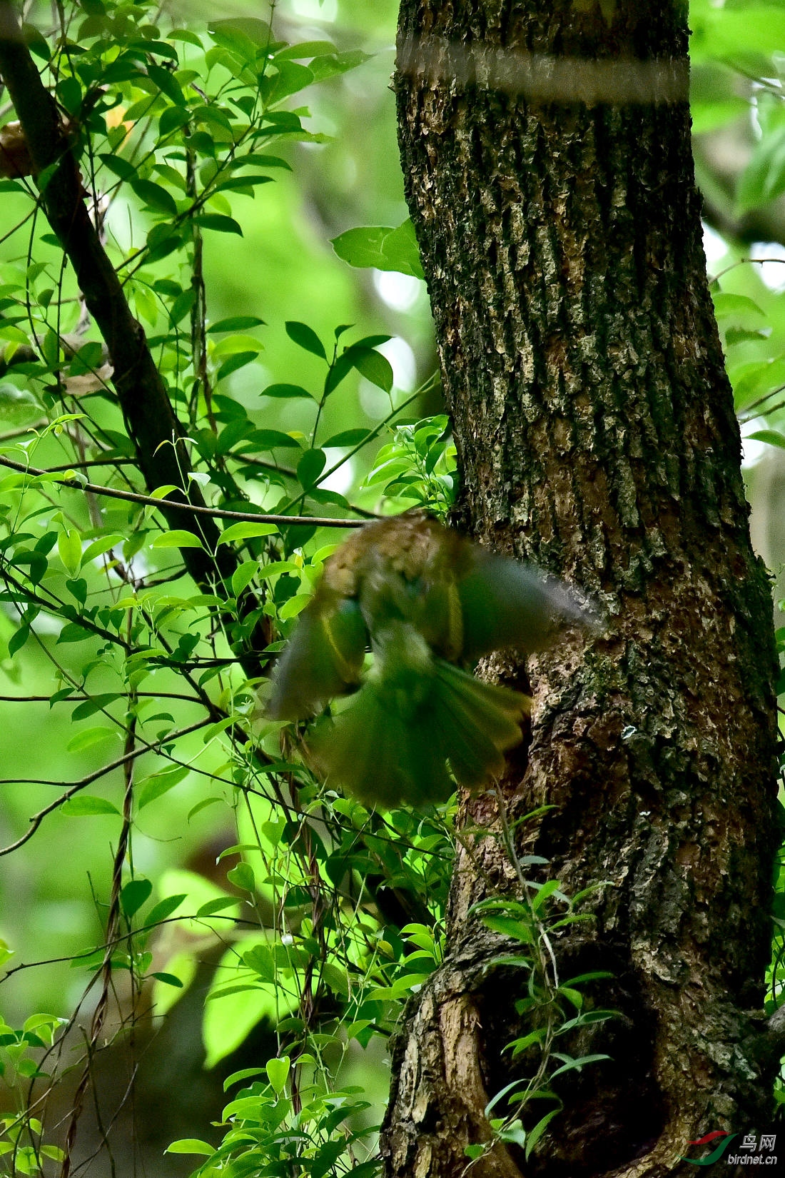 DSC_0001.JPG
