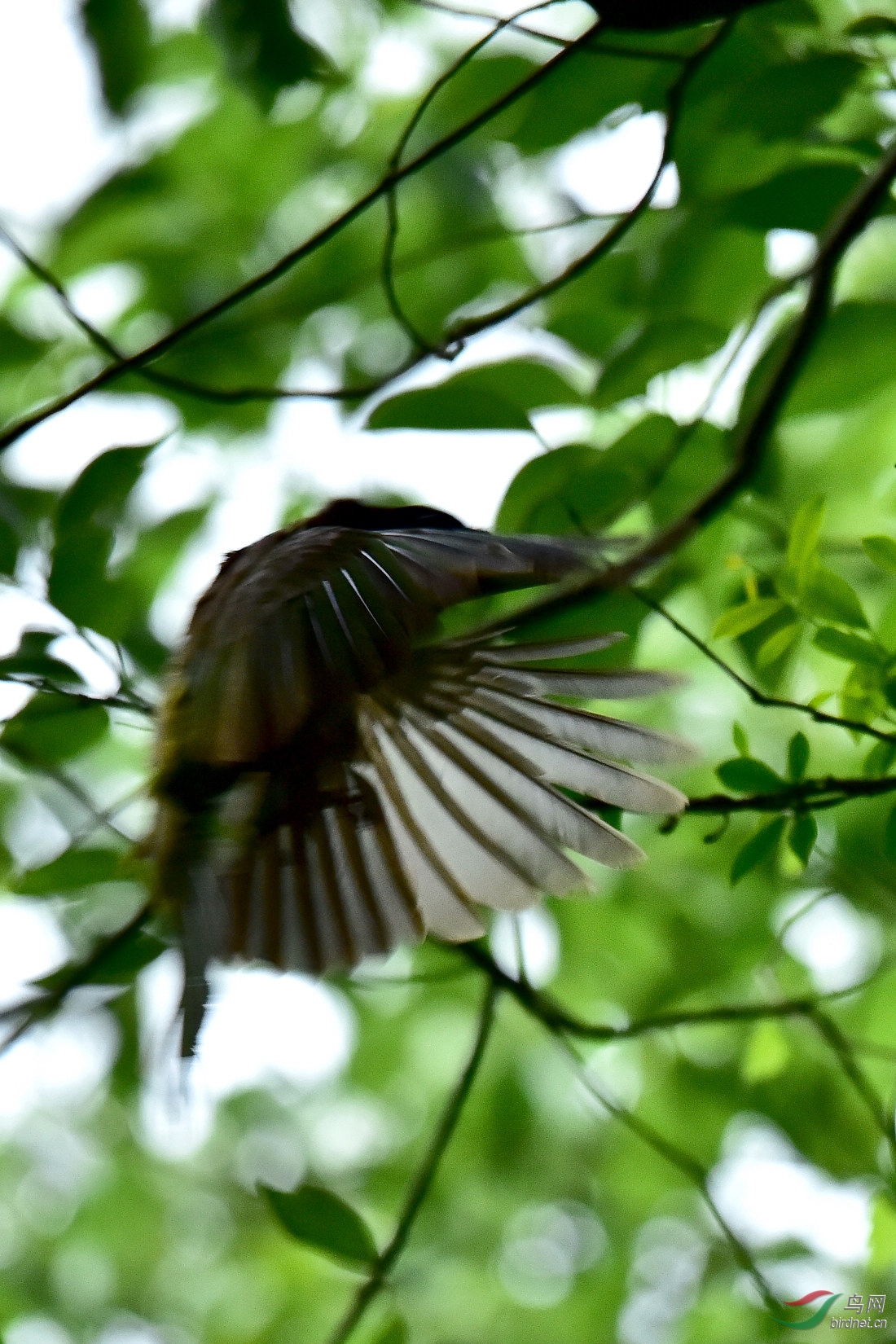 DSC_0019.JPG