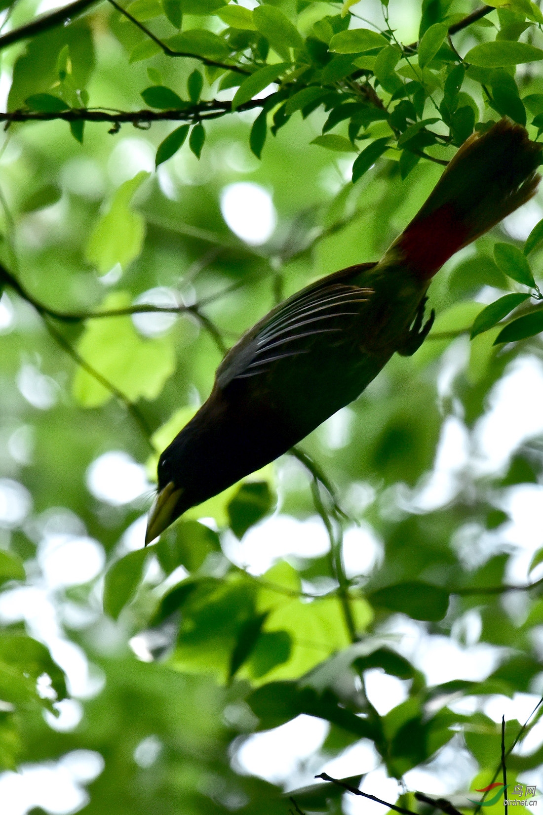 DSC_0030.JPG