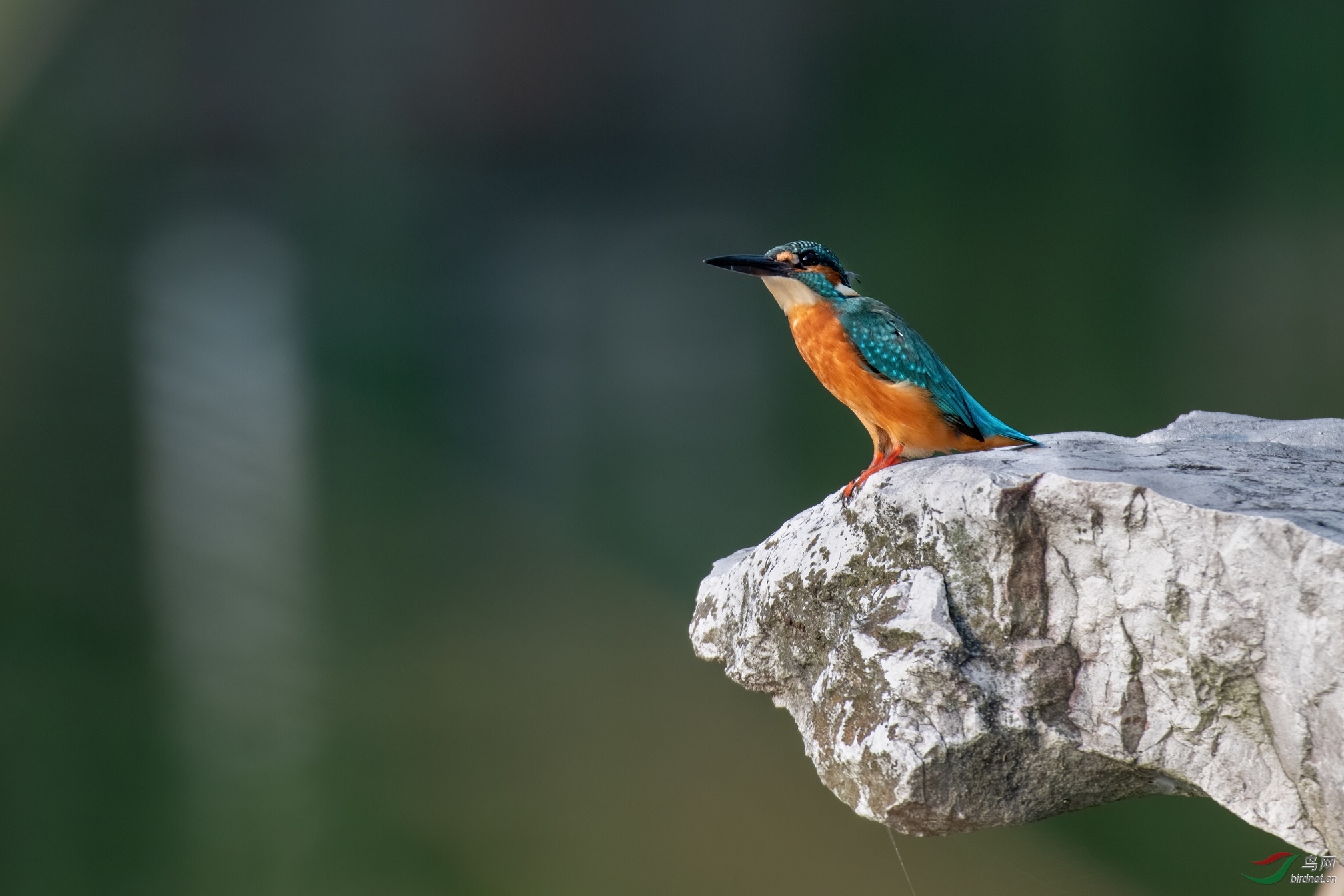 DSC_5221.jpg