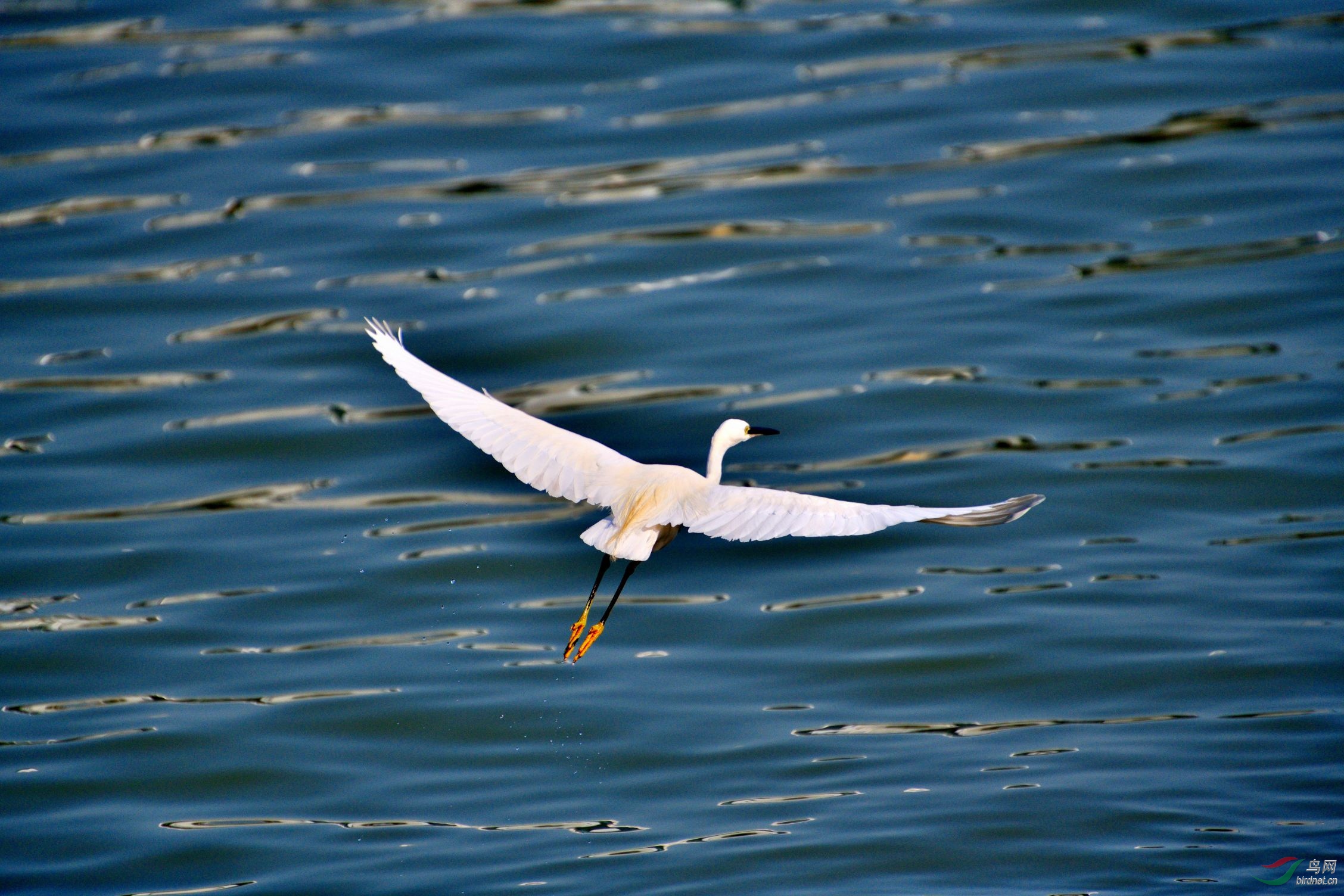 ����İ���