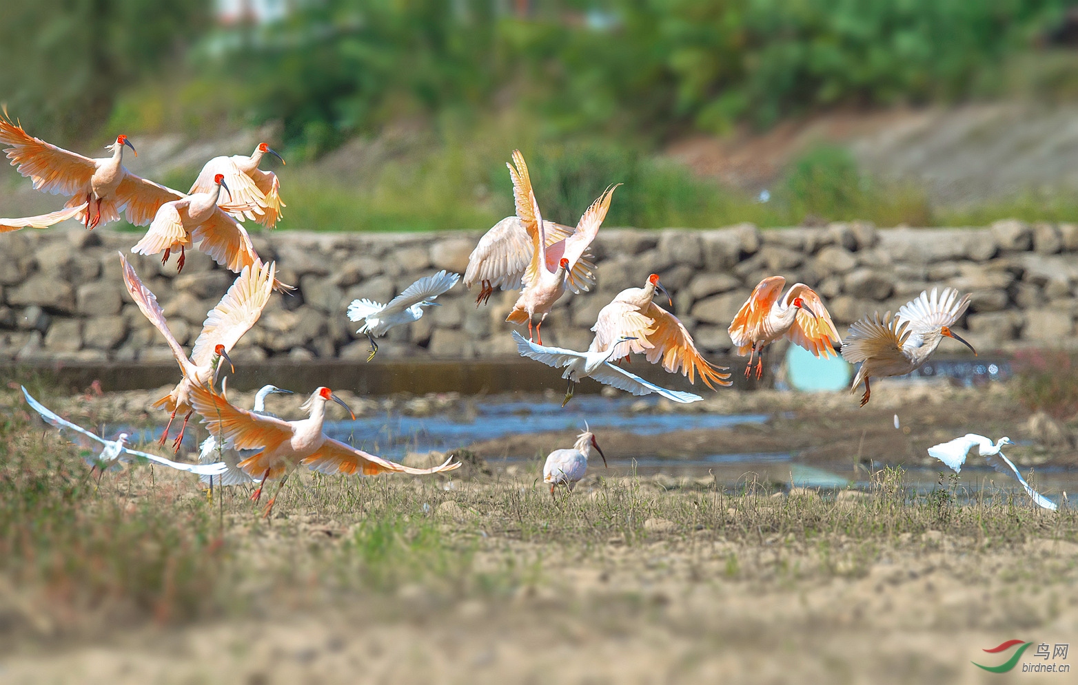 DSC_8166����_����.jpg