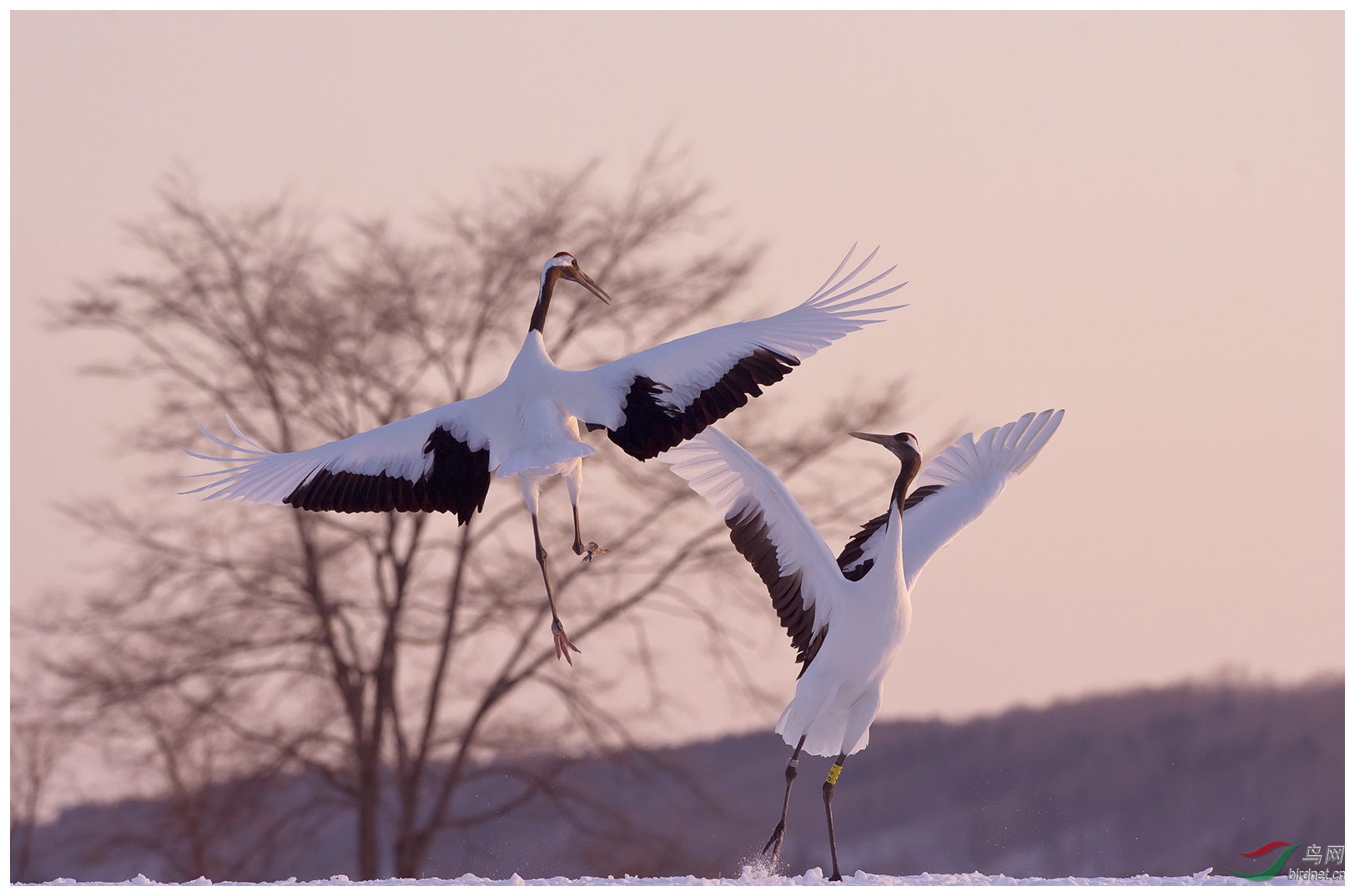 ��DSC_0921-1.jpg