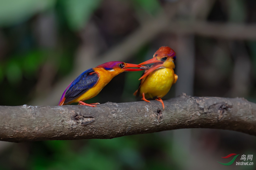 DSC_5840-0.jpg