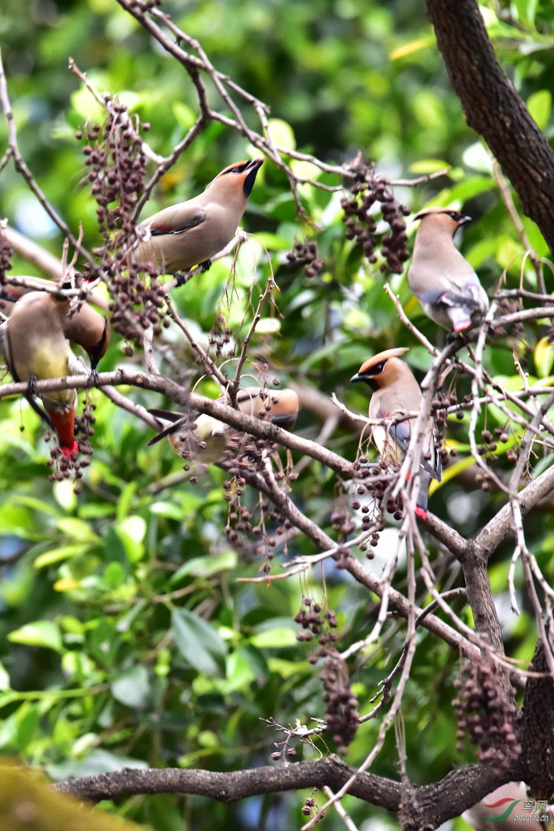 DSC_0594.JPG