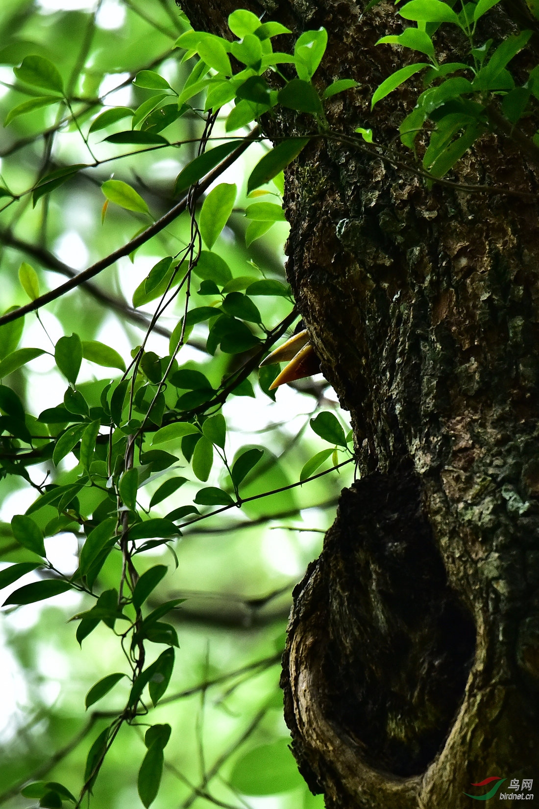 DSC_0031.JPG