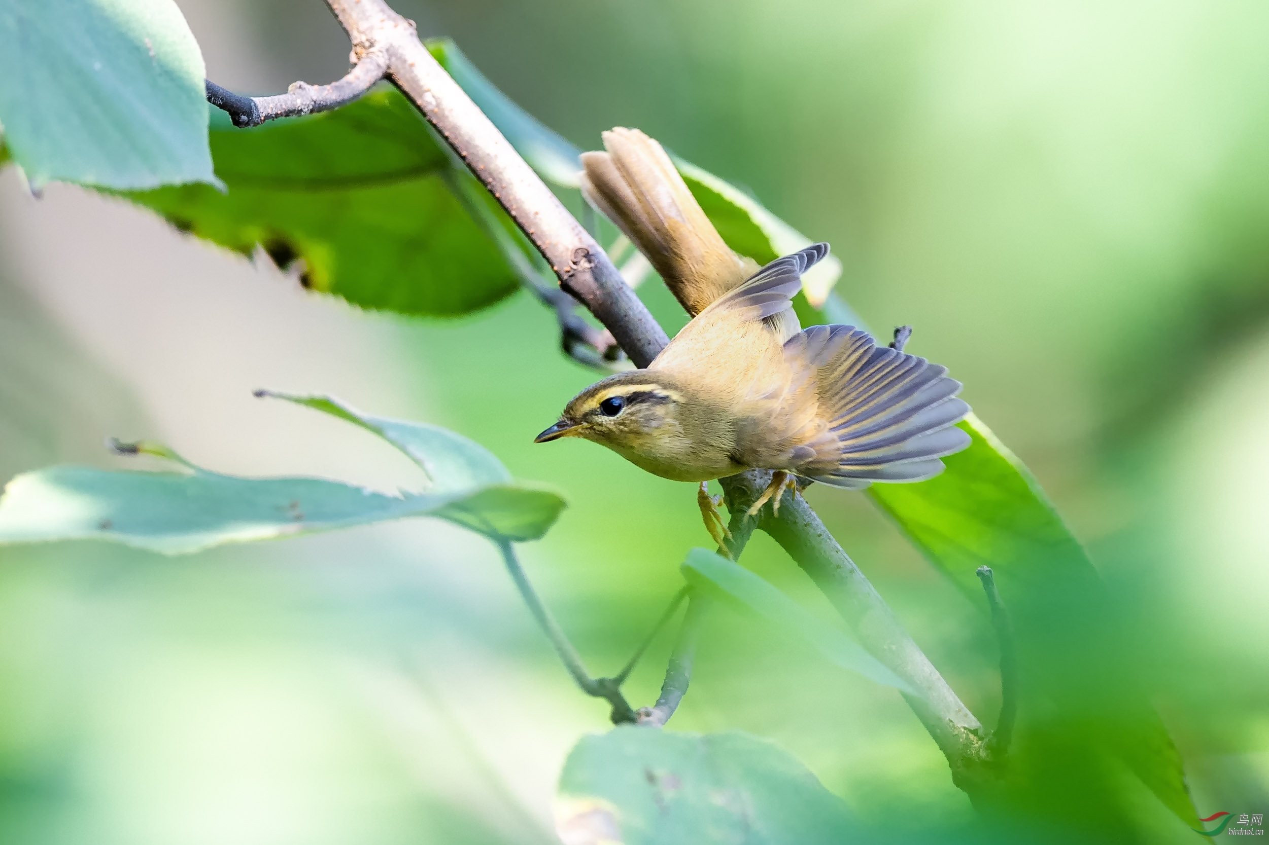 DSC_7967-ps.jpg