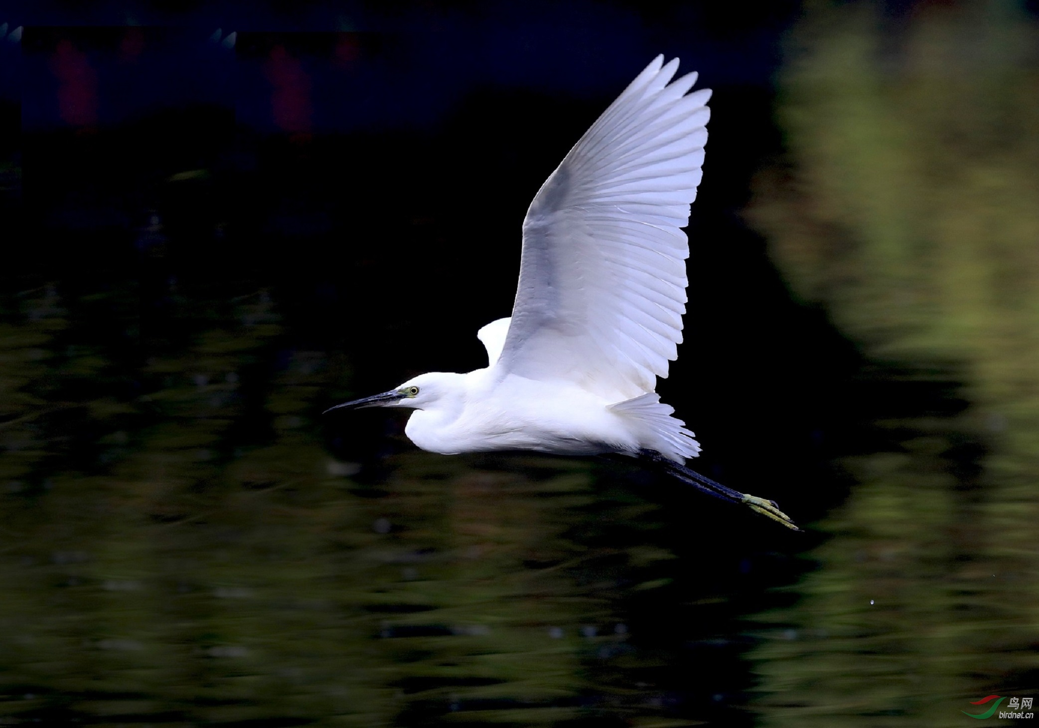 A15I0078 - ����.JPG