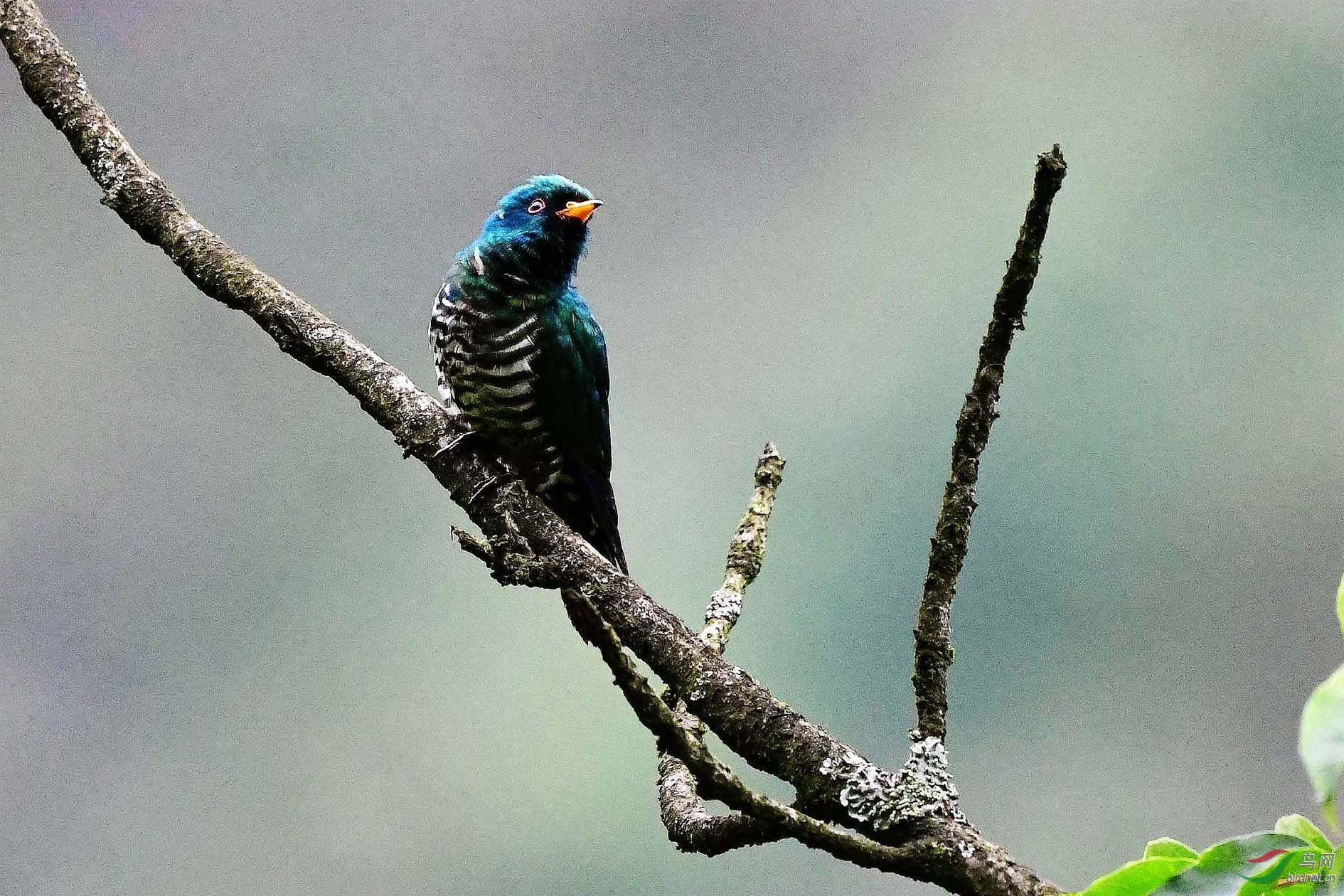 DSC_4778_����.jpg