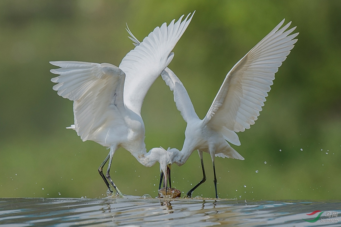 XCG_6357 - ����.jpg