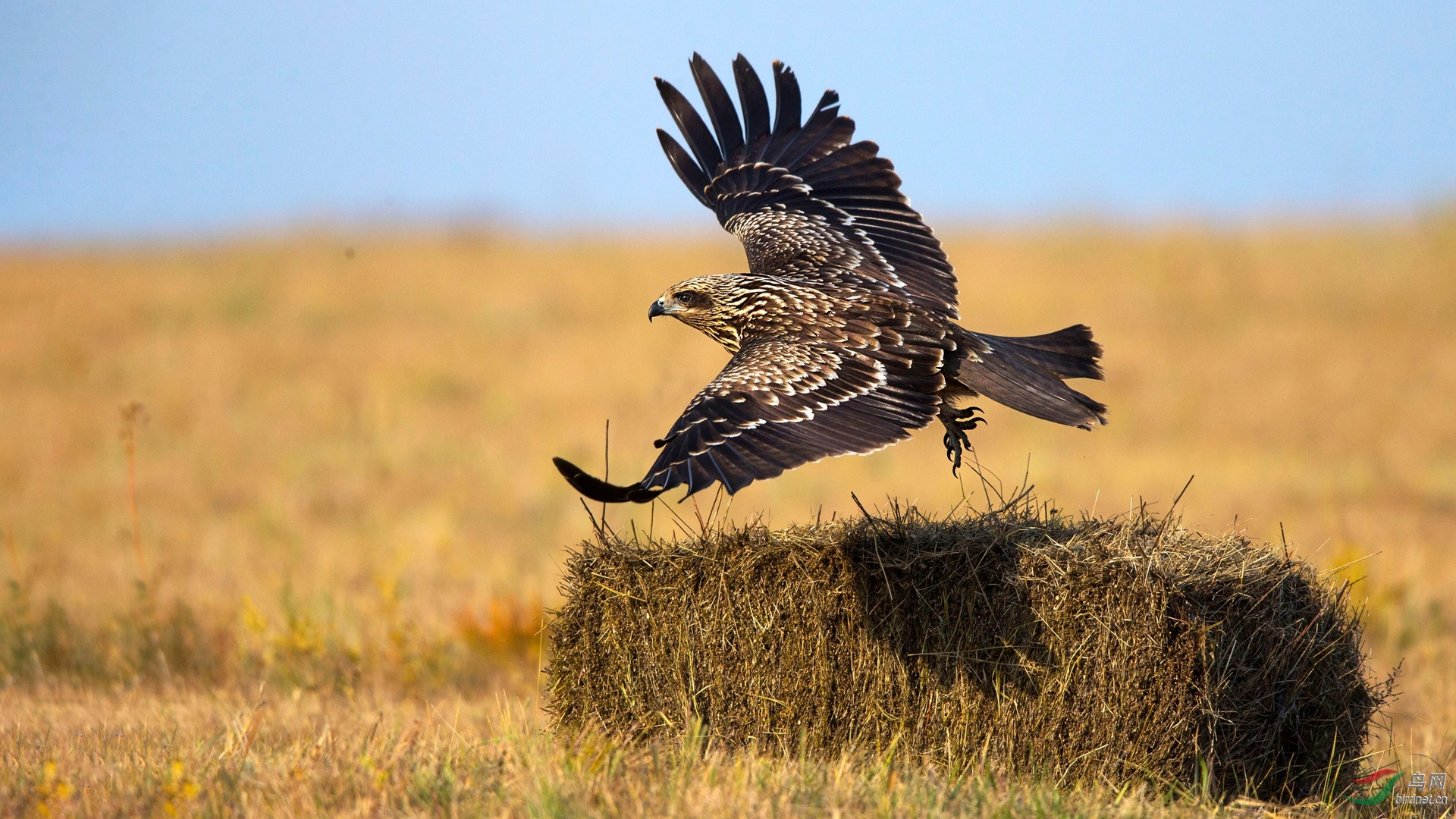 BW4Q8642 - ����.jpg