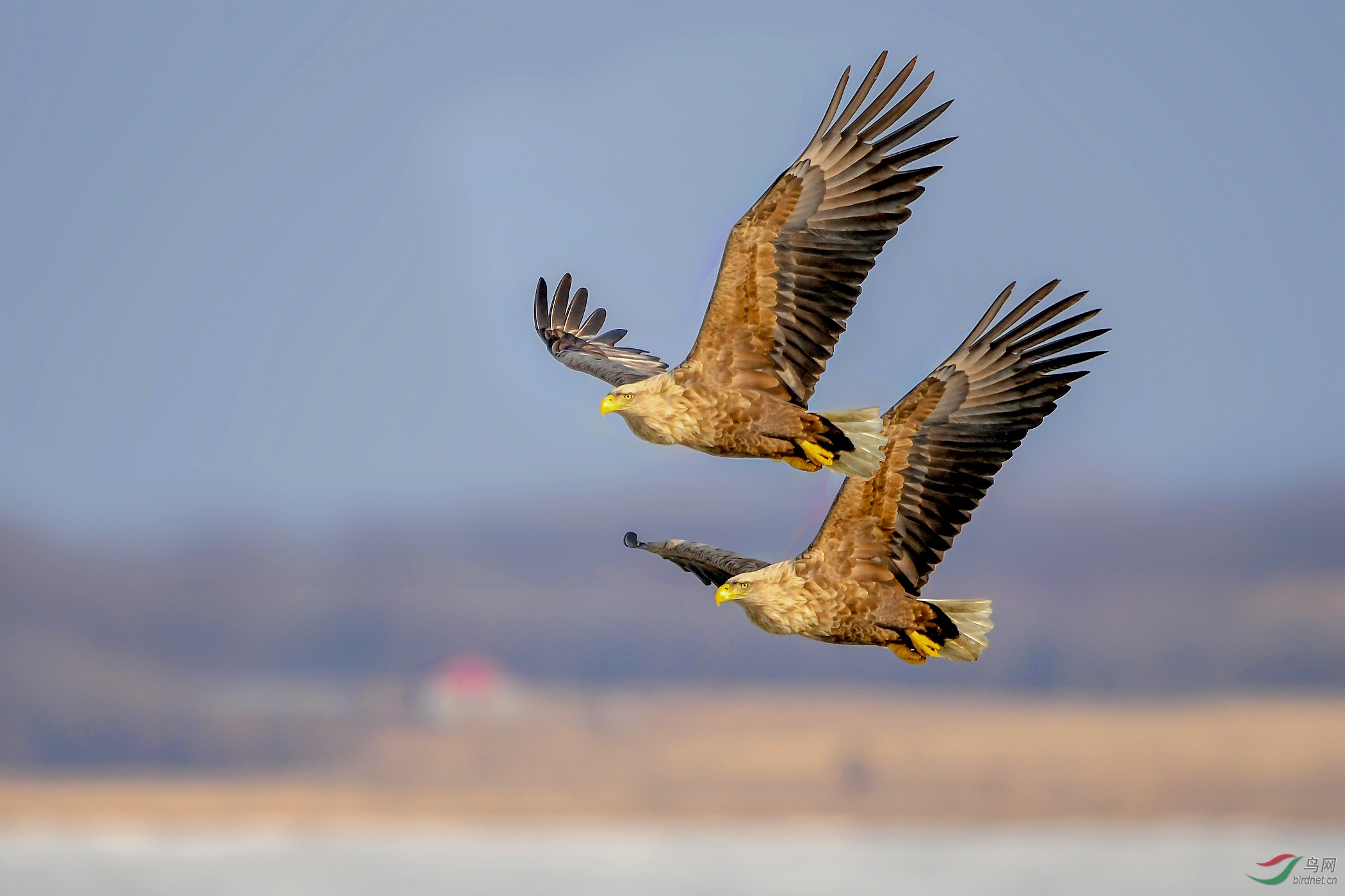 DSC_5023 (2)_����_����_����.jpg