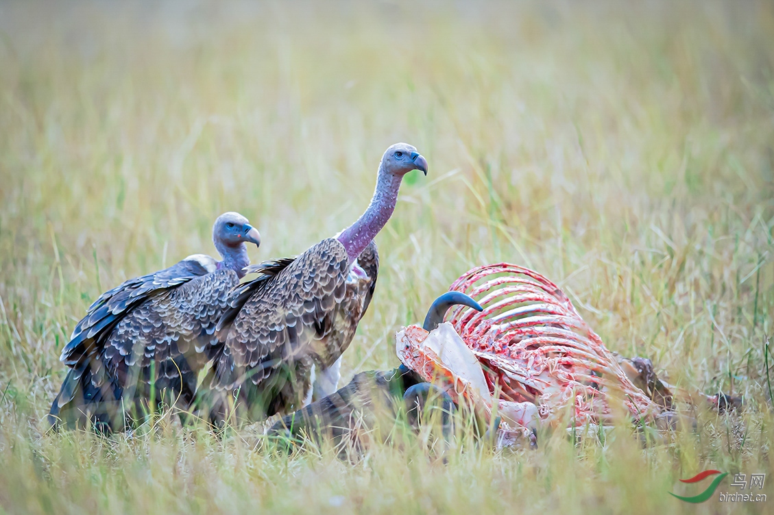 �����ڿ���������������