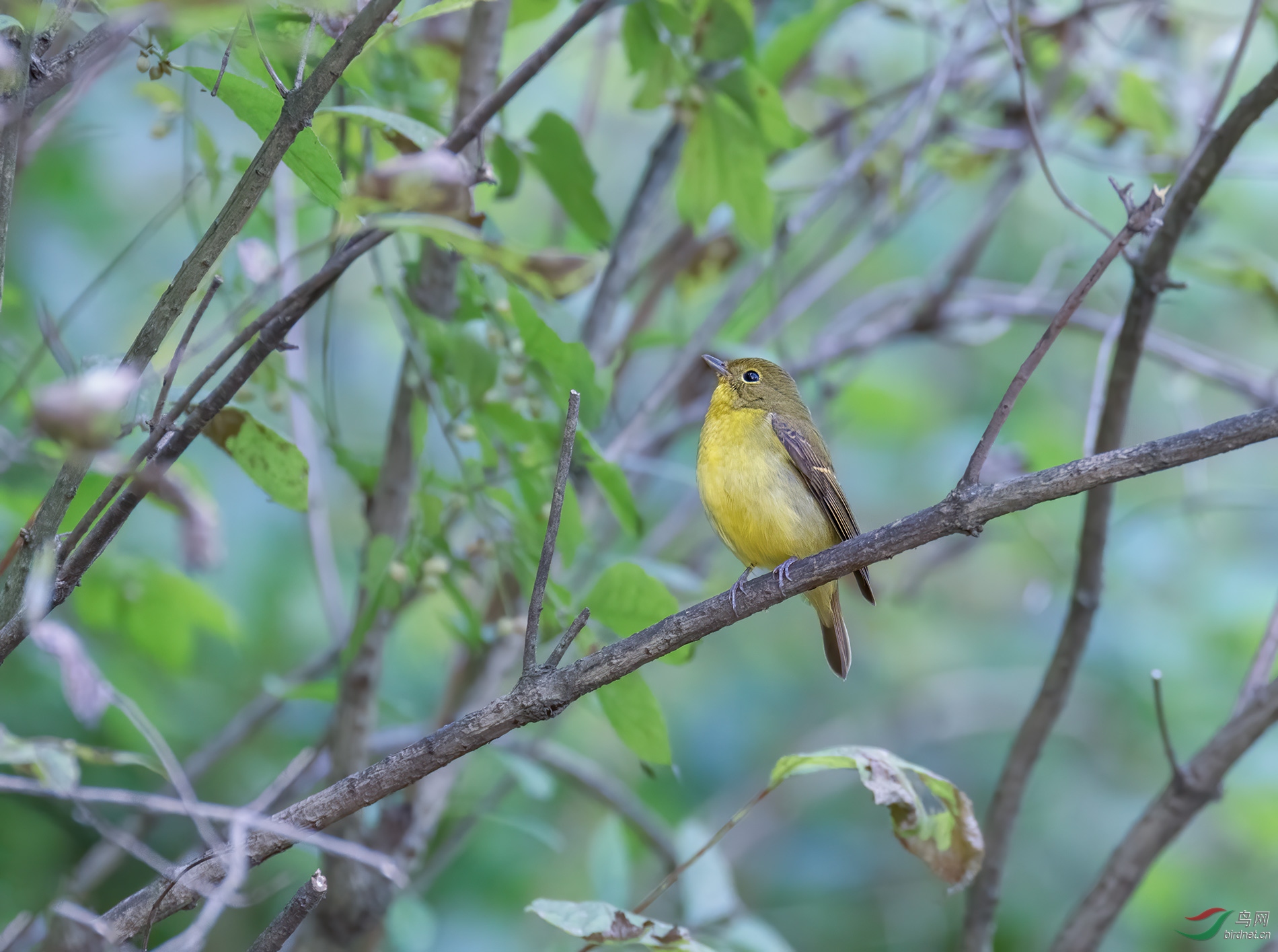 DSC_1694.jpg