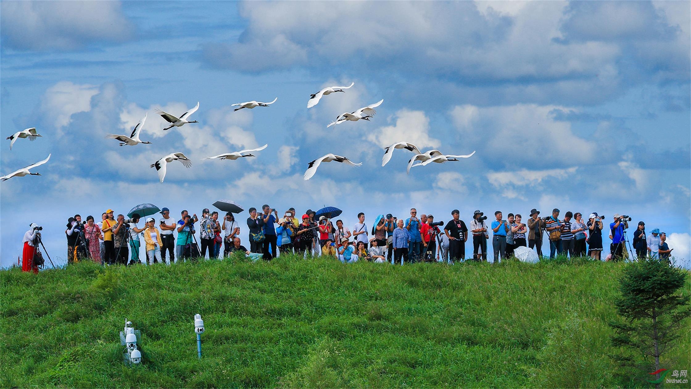 7U9A4717-7012245=         ������.jpg