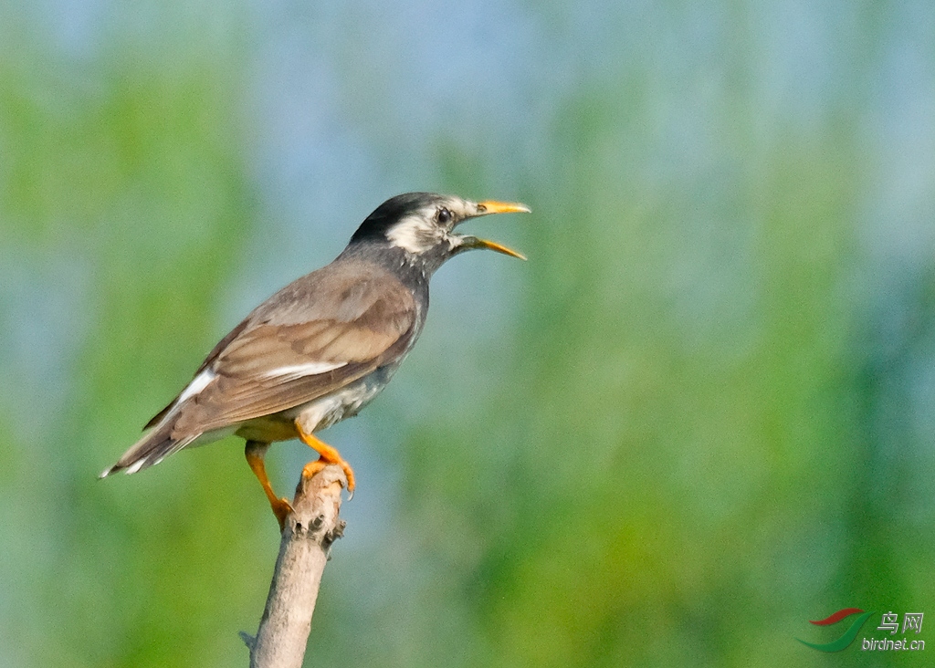 1003����  �����.jpg