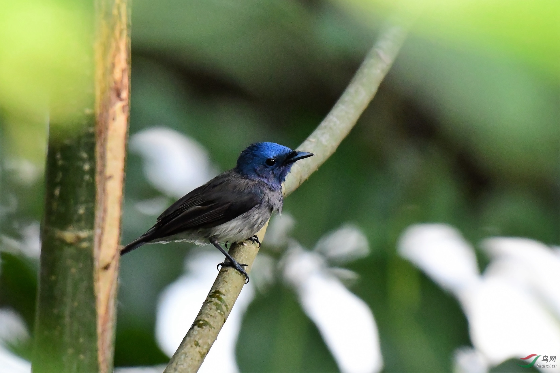 �������l����