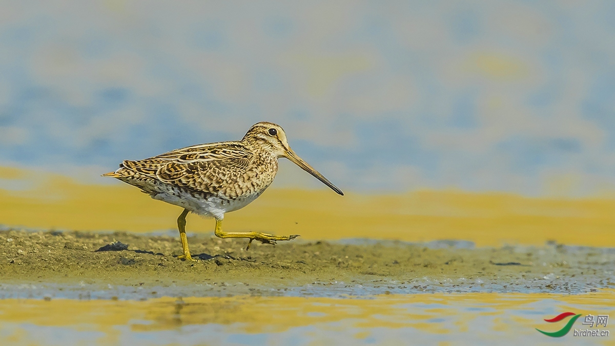 ������ʦ�����ں�����ʡ ��������� ������ ������.jpg