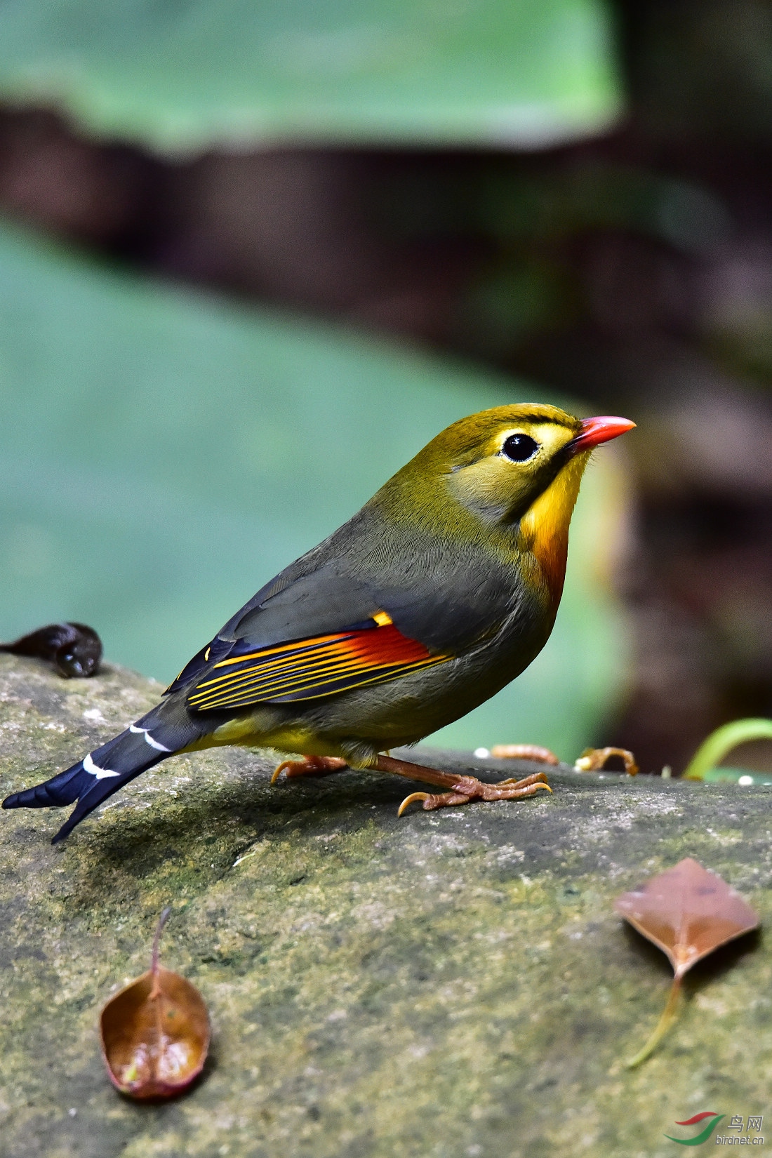 DSC_0614.JPG