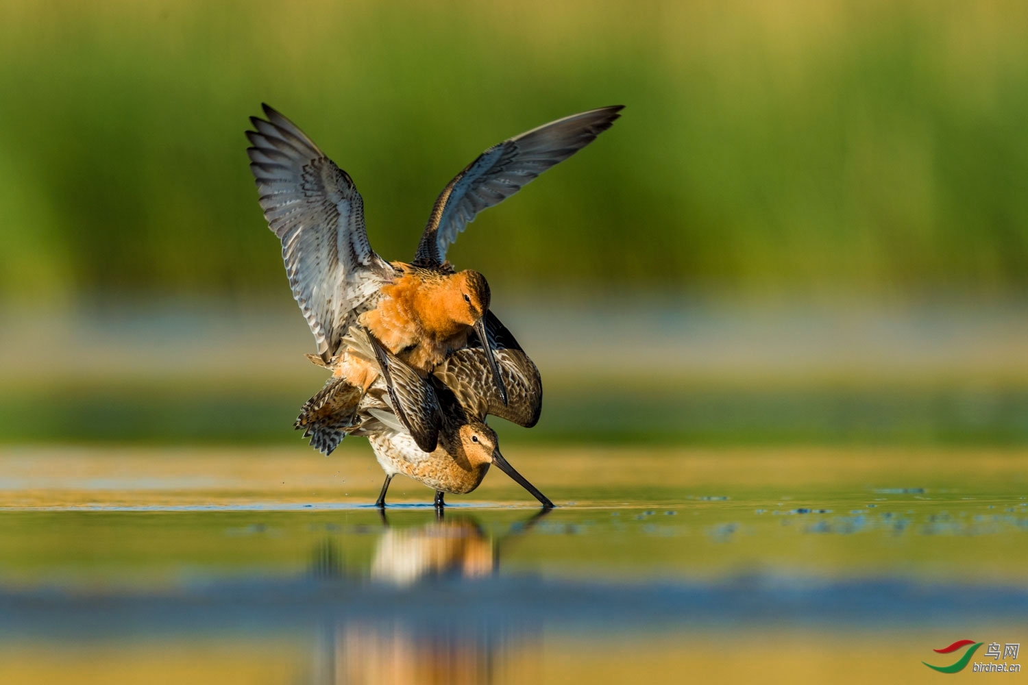 0459���� ��ʦ�����ں�����ʡ��������� ������������.jpg