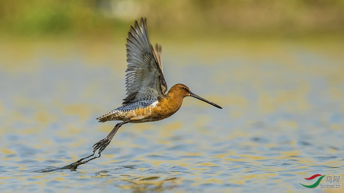 ���� ��ʦ�����ں�����ʡ��������� ������������2.jpg