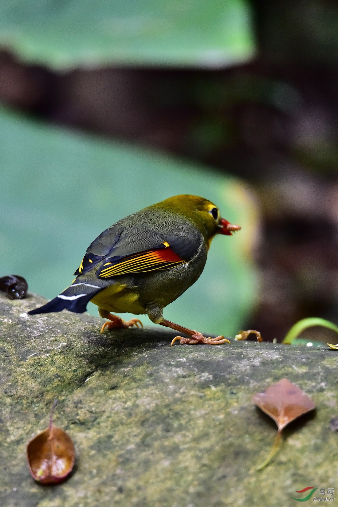 DSC_0617.JPG