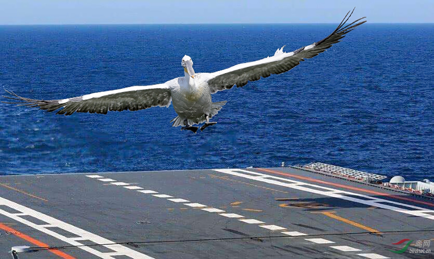 timg-2-.jpg