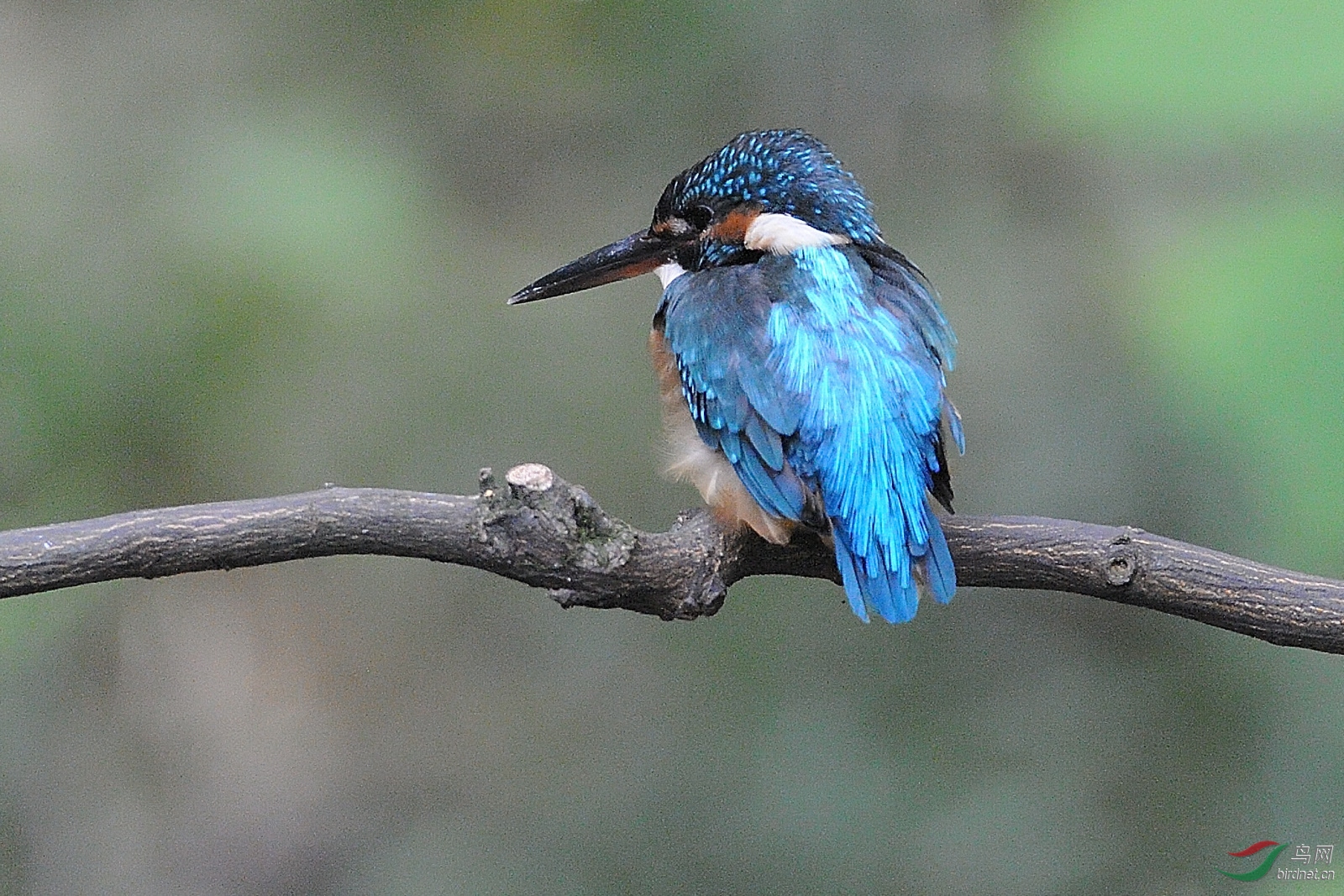 DSC_1908_00008.jpg