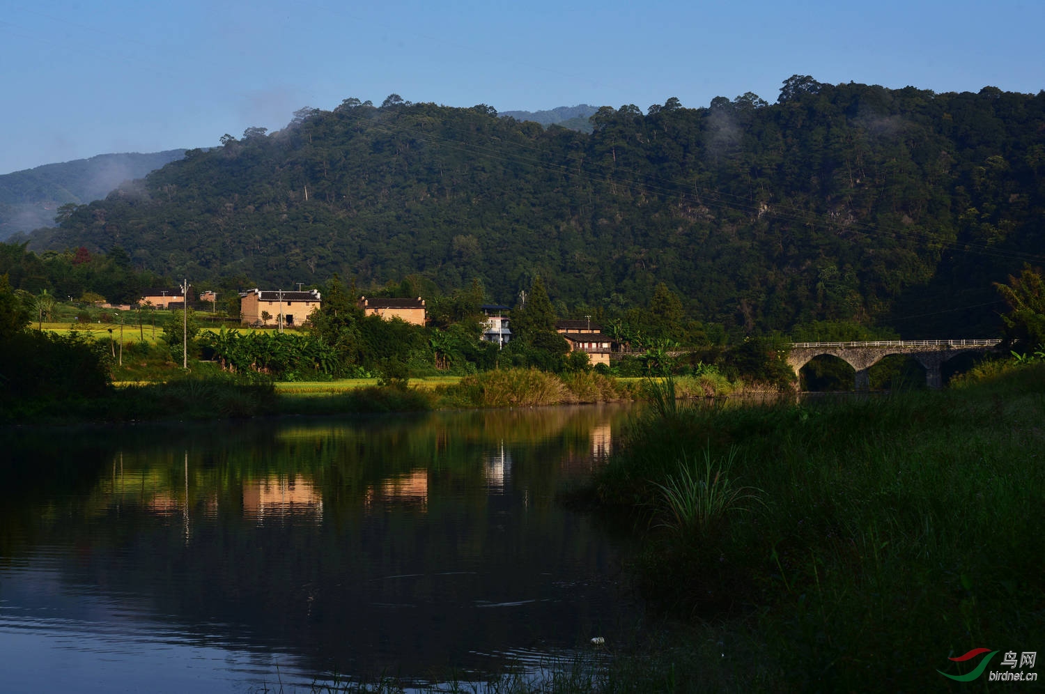 D8I_3080.jpg