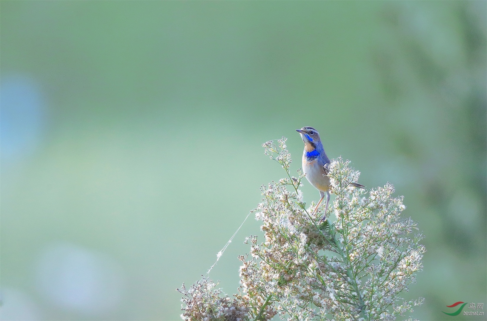 2 - ����.JPG