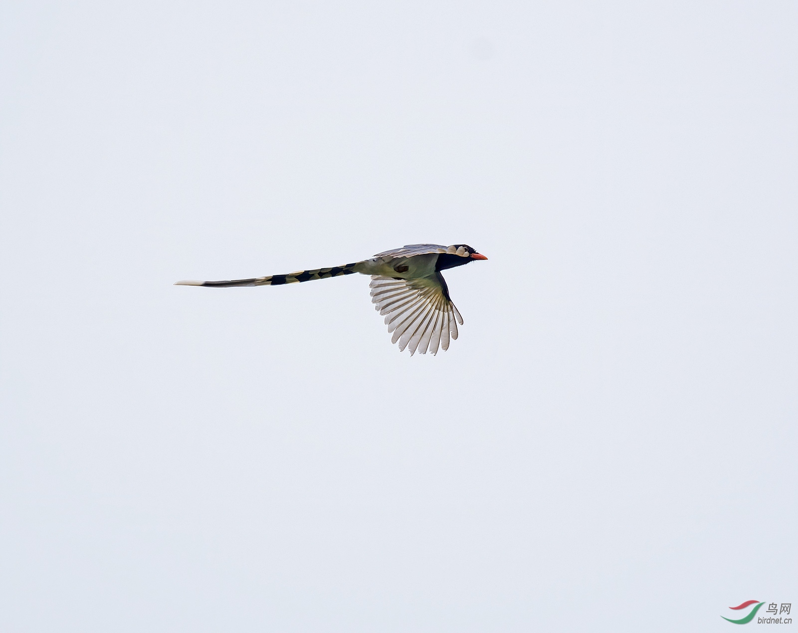 DSC_6364.jpg