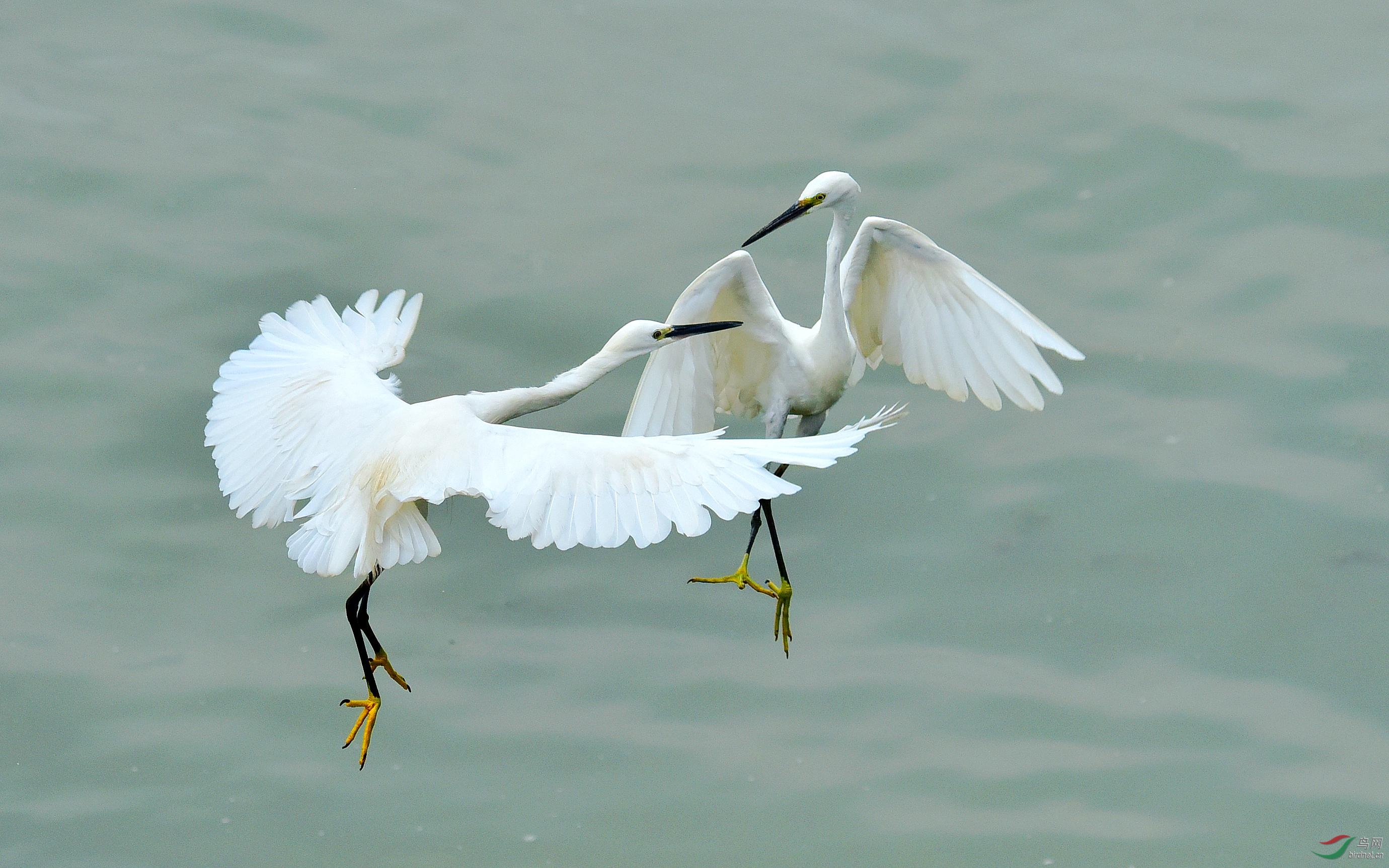 DSC_9257_conew3.jpg