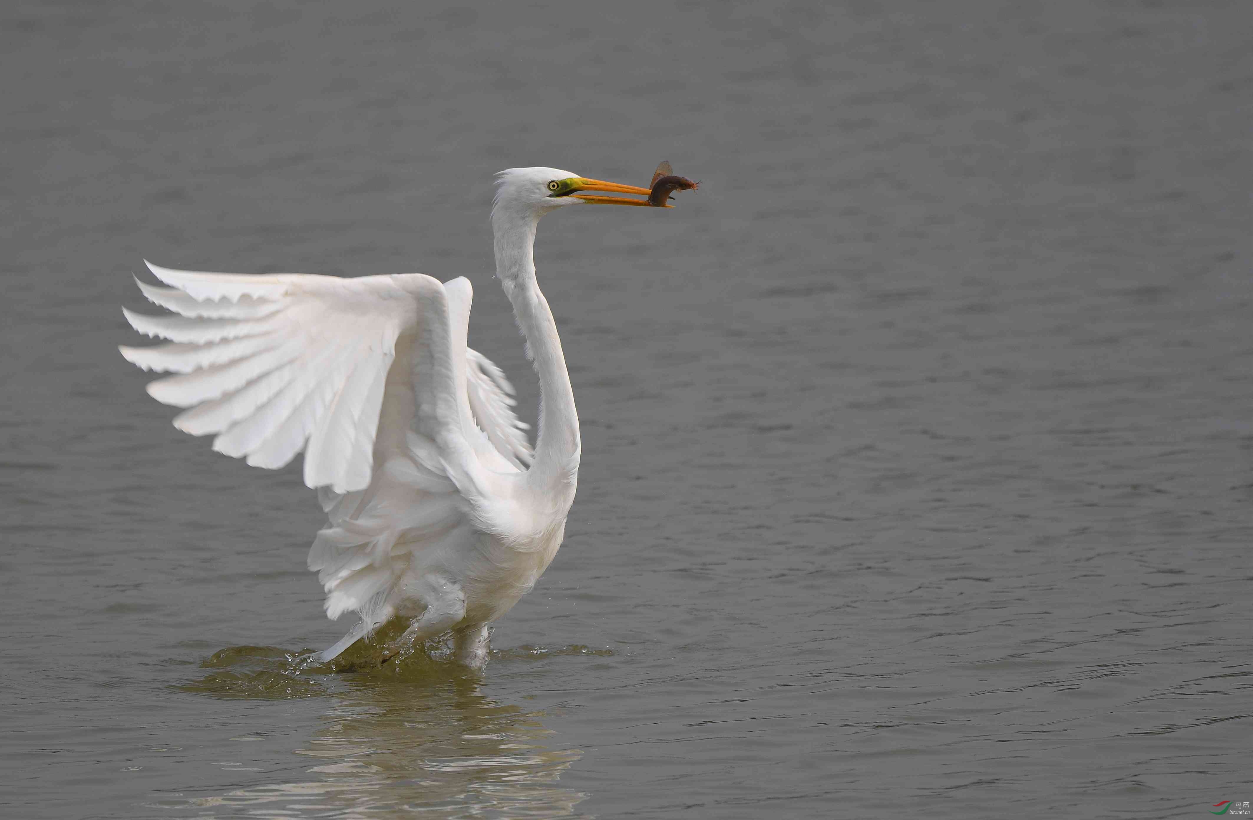LXC_8425_����.jpg