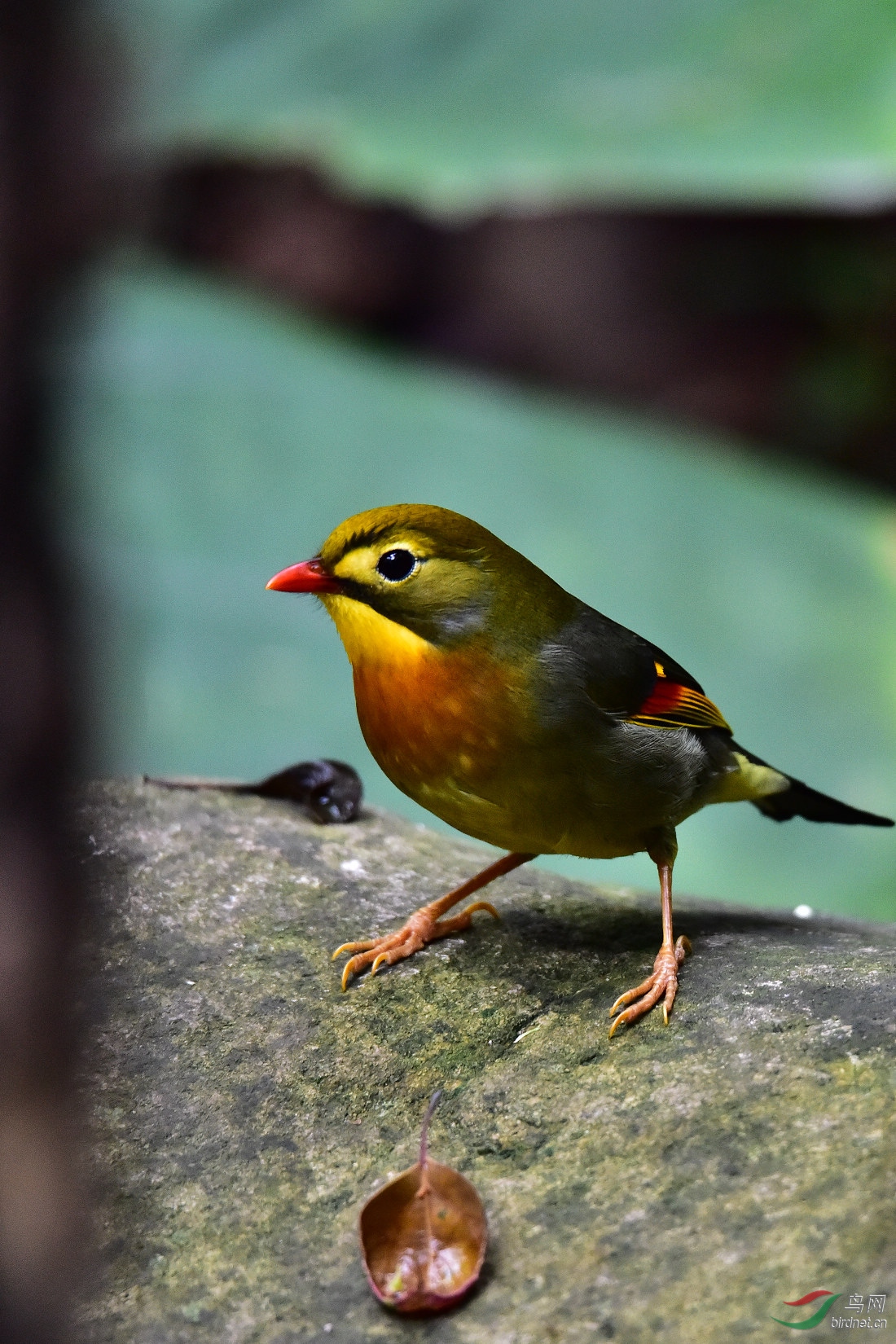 DSC_0620.JPG