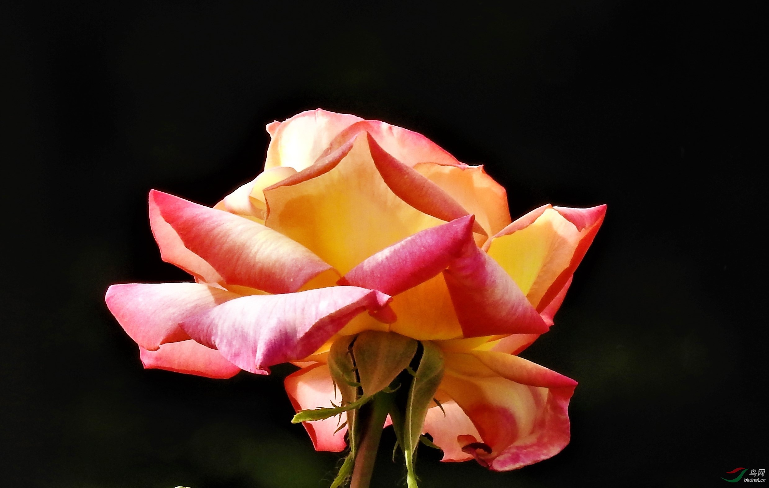 DSCN3948.JPG