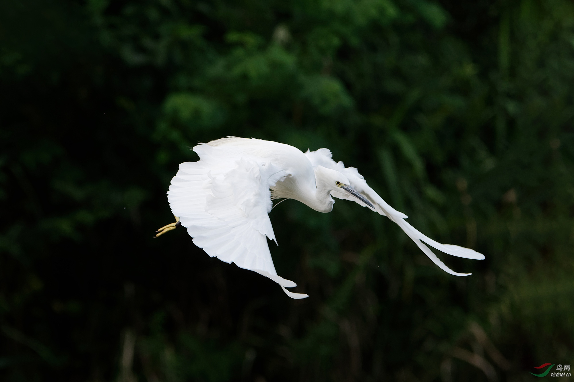 DSC_4952.jpg
