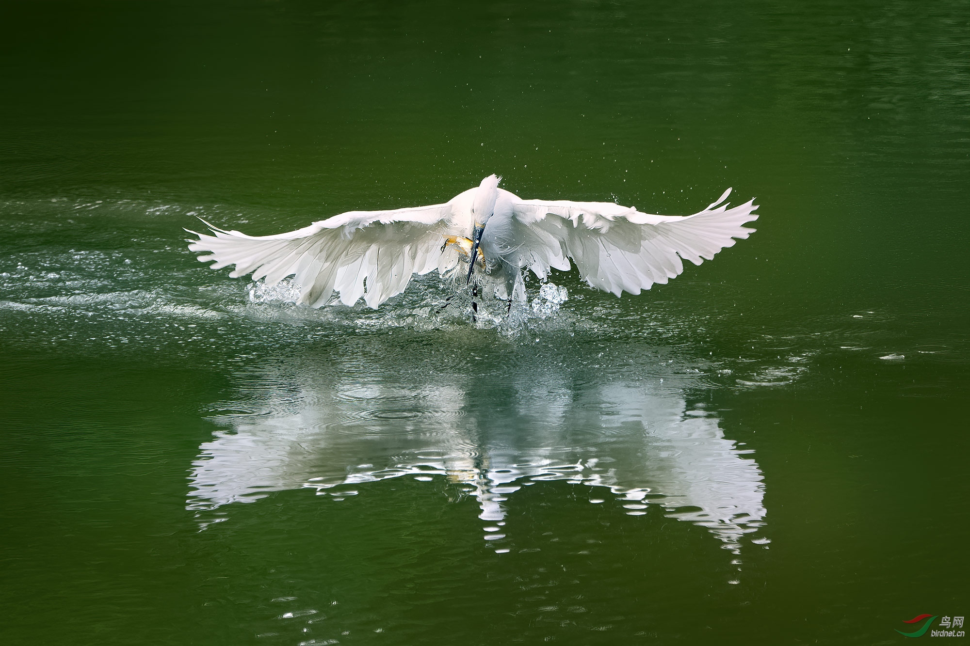 DSC_5063.jpg