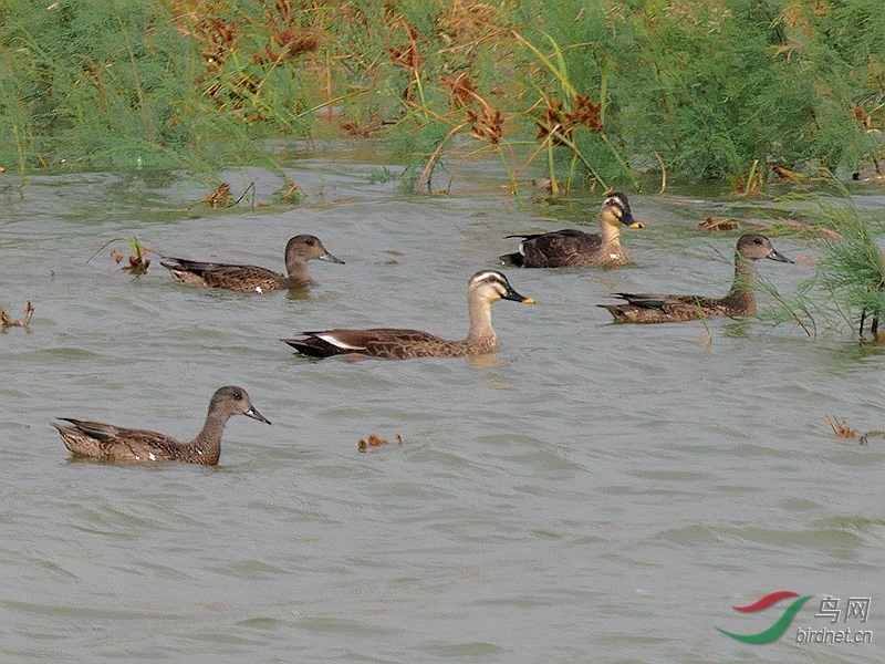 P5570619 - ����.JPG