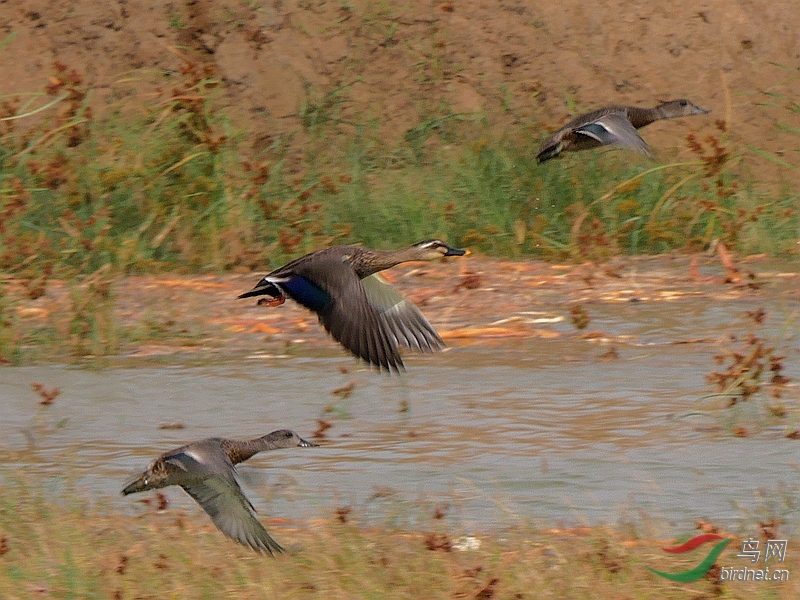 P5570635 - ����.JPG