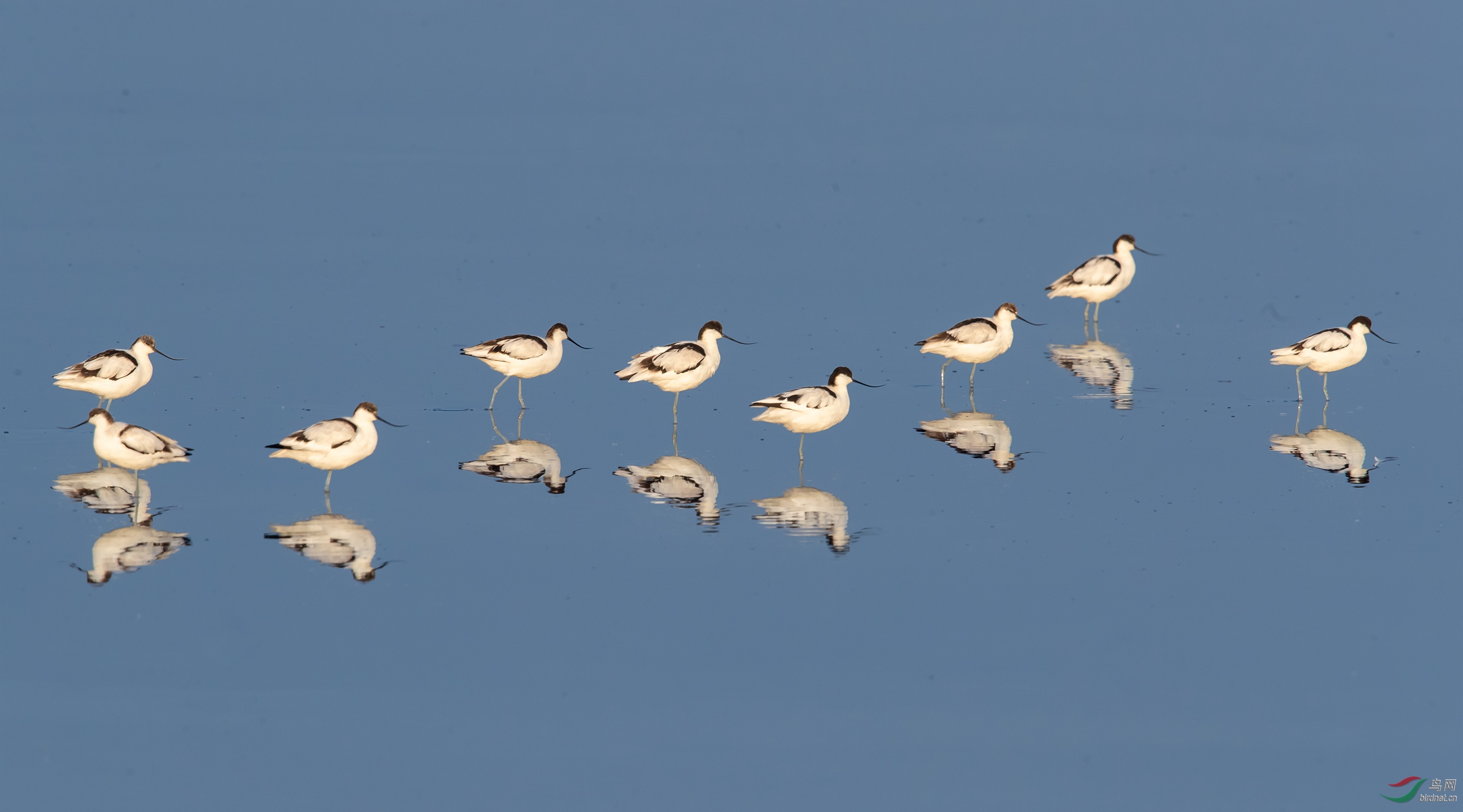 NL__9891-1.jpg