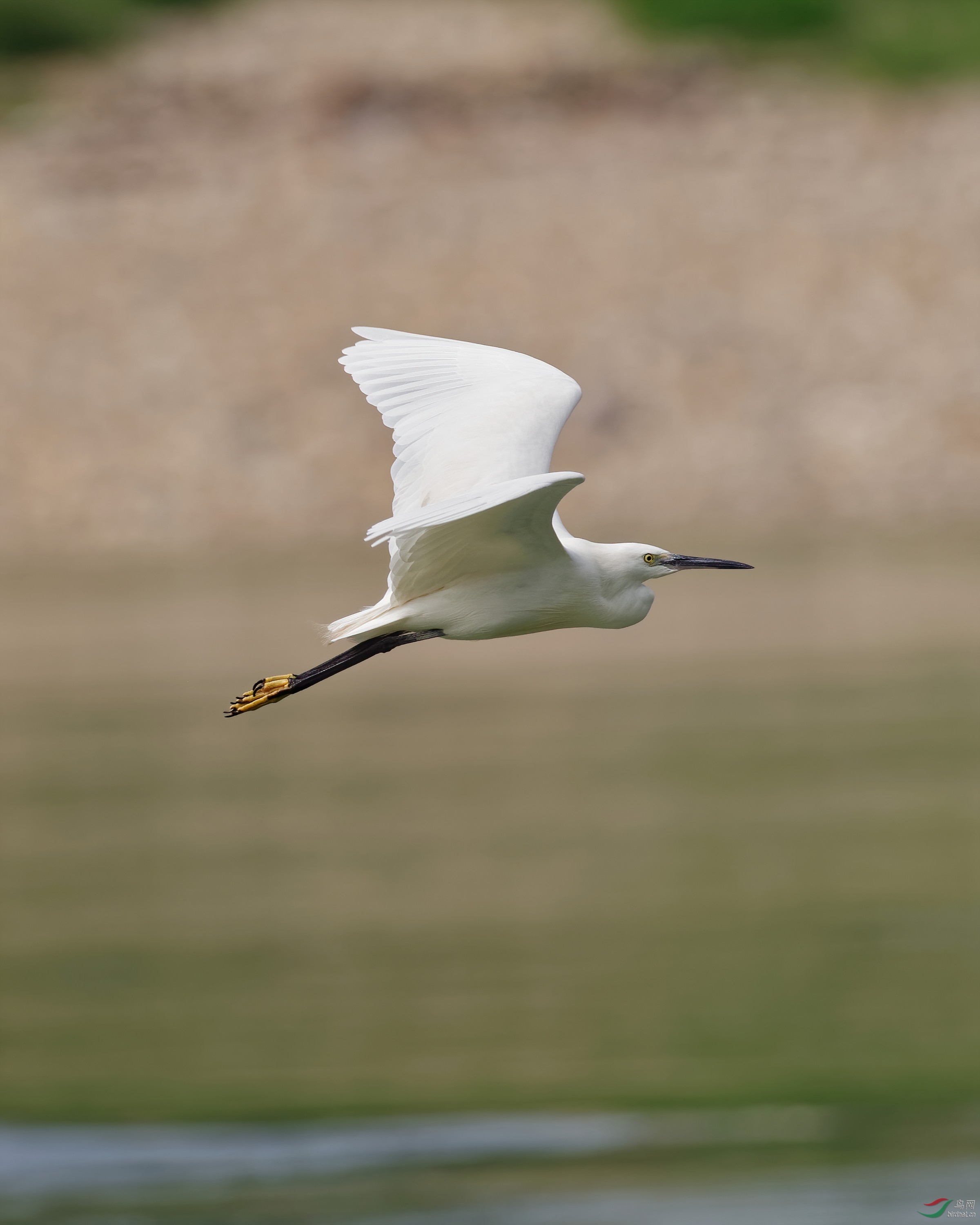 P1081756_DxO-d2.jpg