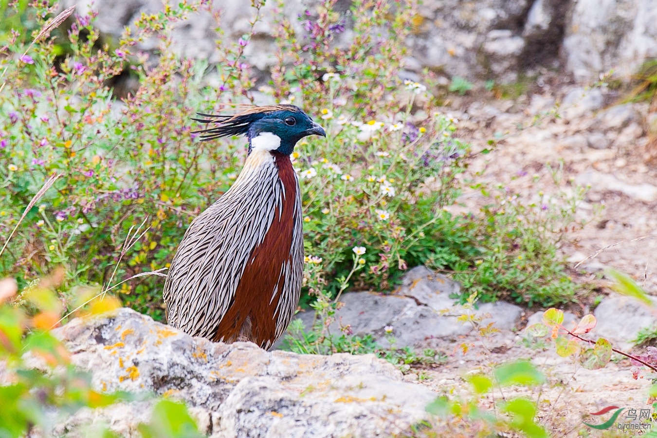 XCG_8877 - ����.jpg