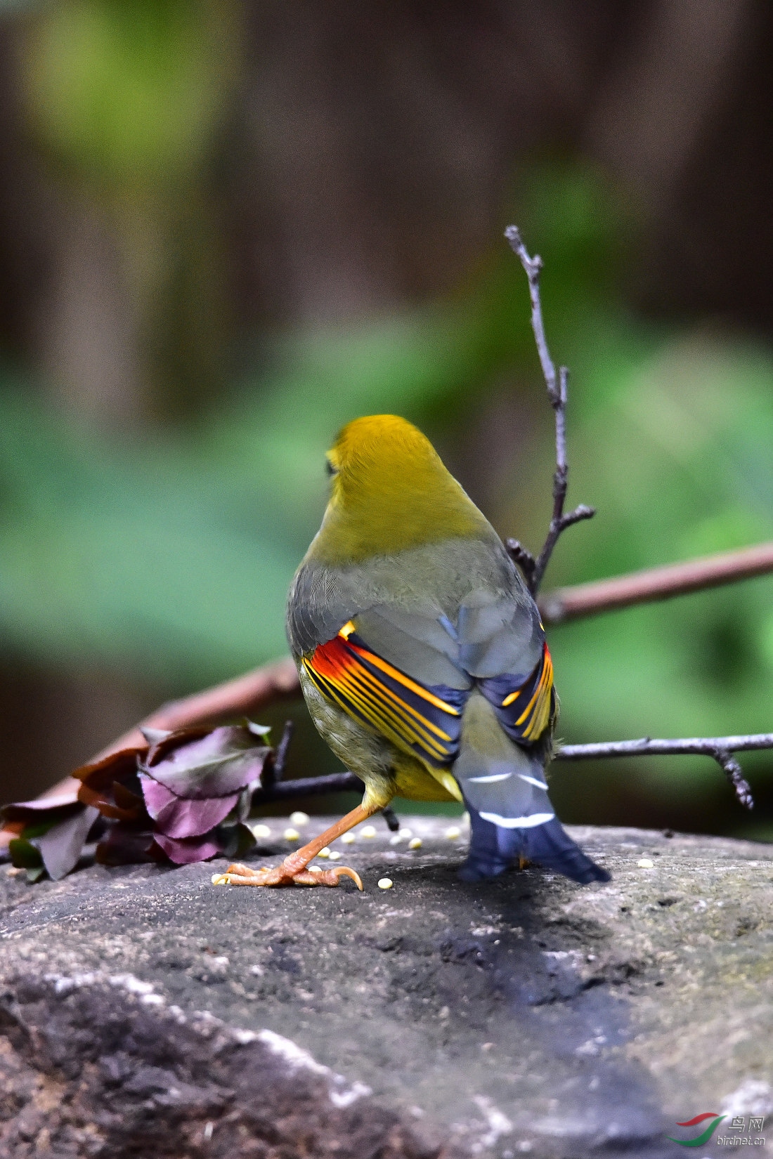 DSC_0630.JPG
