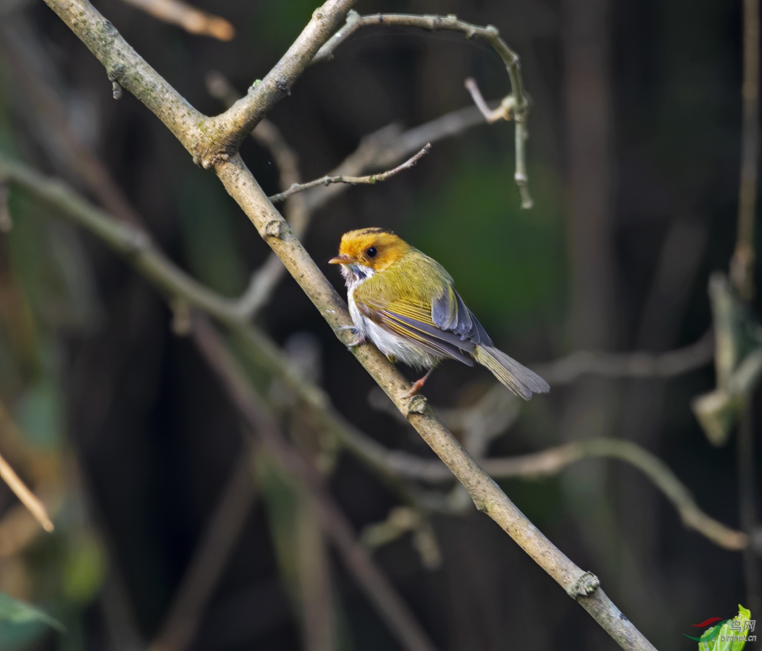 DSC_5619.jpg