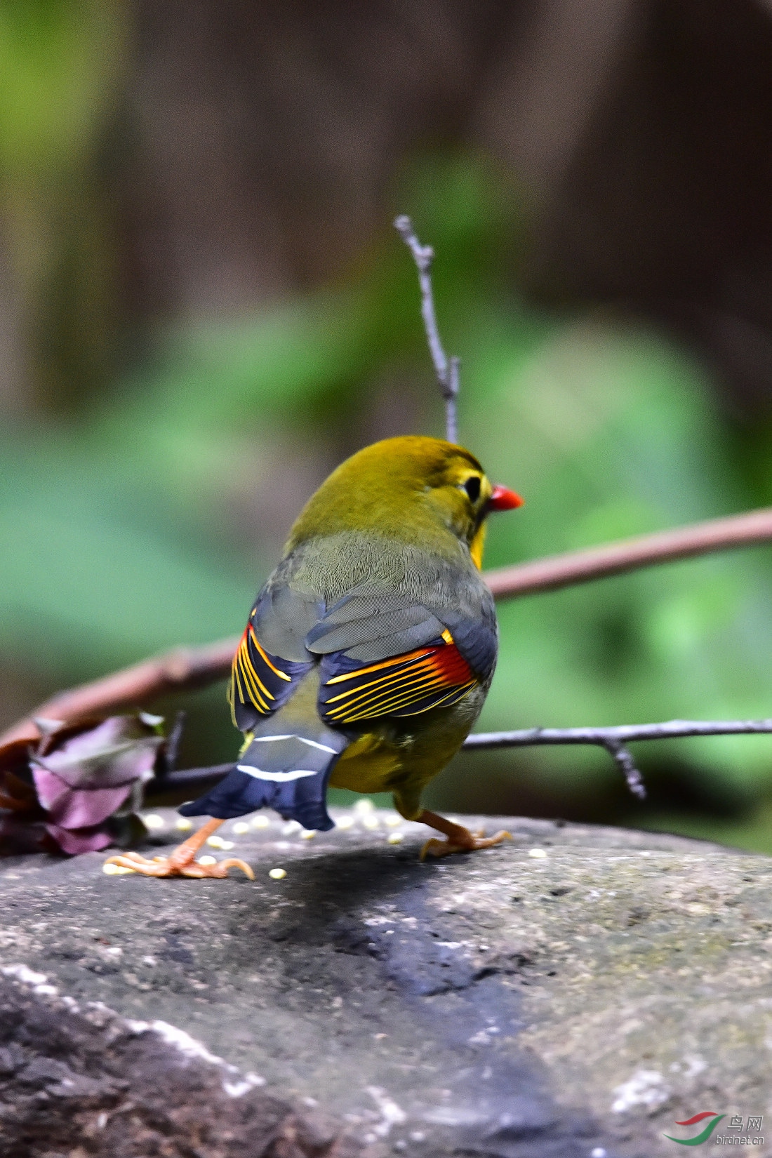 DSC_0632.JPG