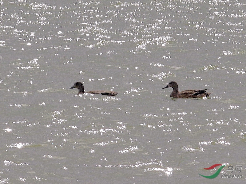 P5580098 - ����.JPG