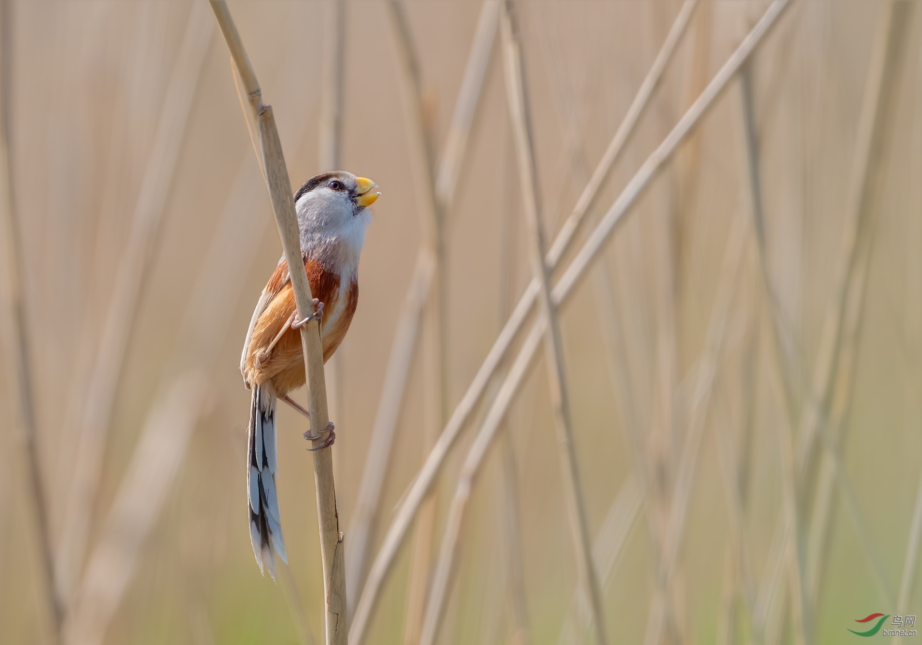 DSC_9027.jpg