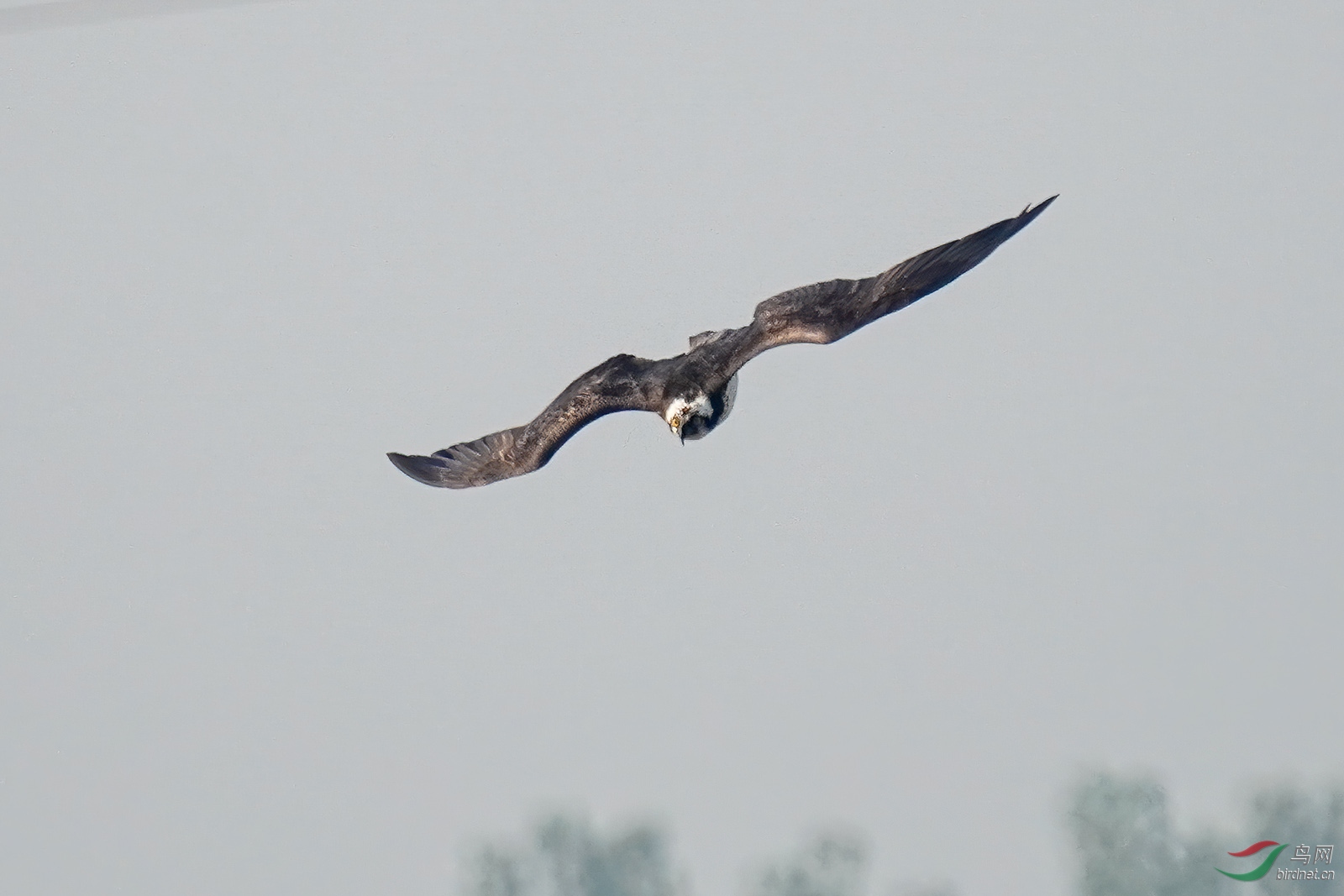 DSC09456-10.jpg