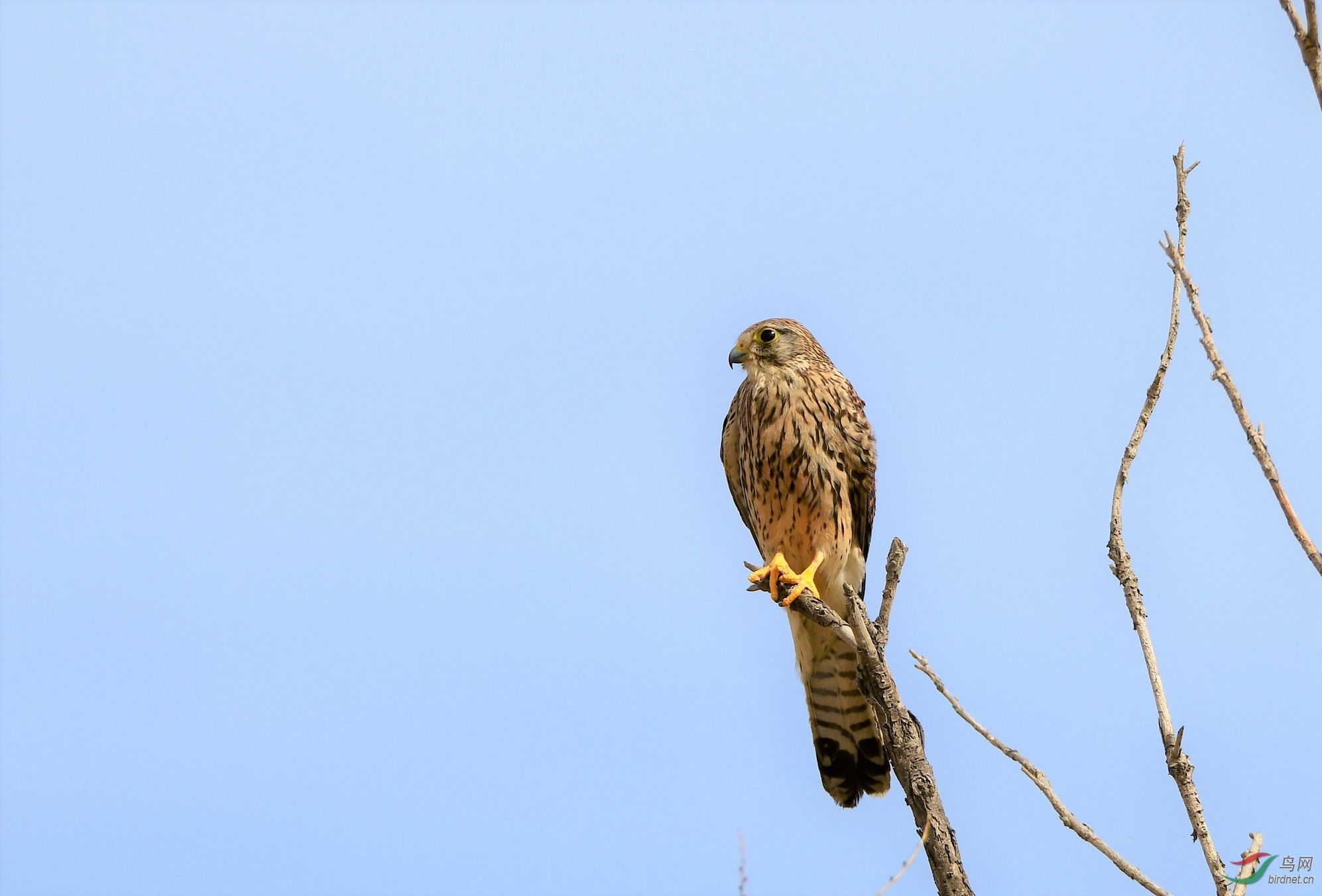 ���� �γ��ط�ǹ����ˮ�� (1).JPG