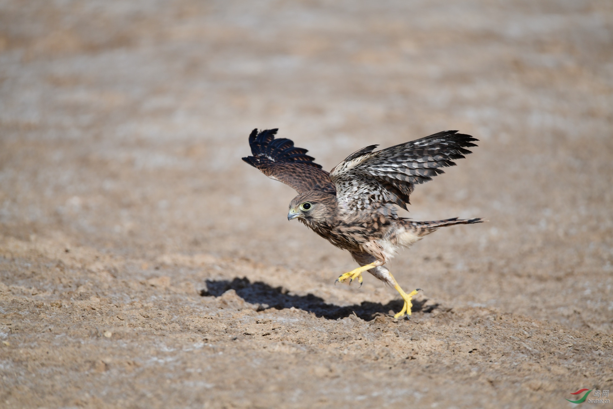 ���� �γ��ط�ǹ����ˮ�� (2).JPG